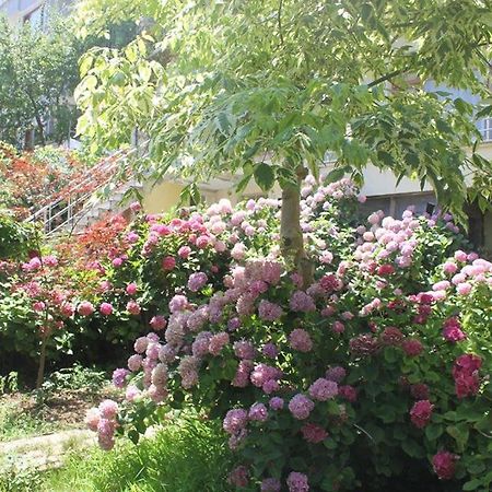 Thermal Orkide Pansiyon Yalova  Buitenkant foto