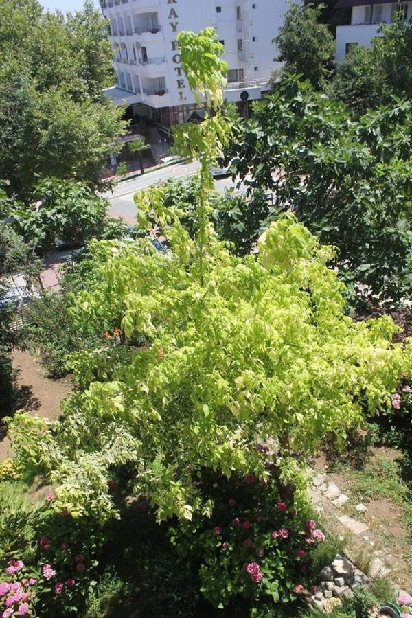 Thermal Orkide Pansiyon Yalova  Buitenkant foto